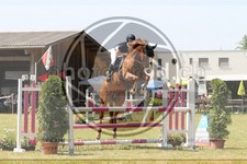 ref. photo 3679506