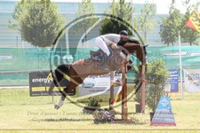 ref. photo 3679541