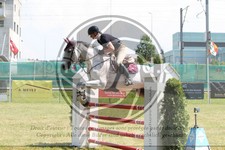 ref. photo 3679578