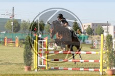 ref. photo 3679595