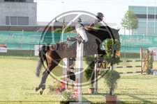 ref. photo 3679601