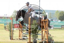 ref. photo 3679606