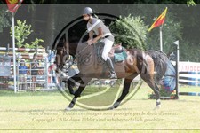 ref. photo 3679609