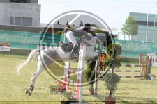 ref. photo 3679613