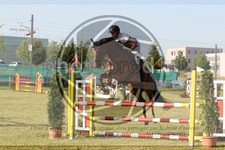 ref. photo 3679659