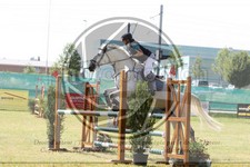 ref. photo 3679680
