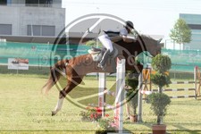 ref. photo 3679687