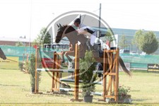 ref. photo 3679692