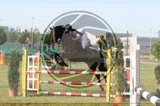 ref. photo 3679696