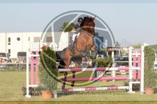 ref. photo 3679724