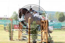 ref. photo 3679728