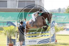 ref. photo 3679729