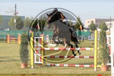 ref. photo 3679733