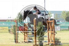 ref. photo 3679741