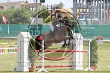 ref. photo 3679751