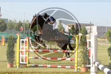 ref. photo 3679754