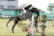 ref. photo 3679787