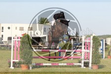 ref. photo 3679788