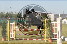 ref. photo 3679801