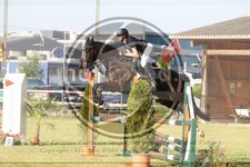 ref. photo 3679802