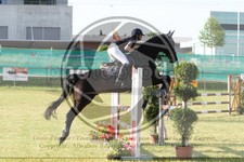 ref. photo 3679803