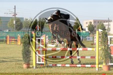 ref. photo 3679813