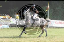 ref. photo 3679818
