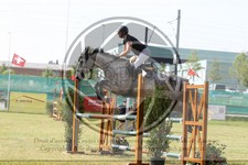 ref. photo 3679826