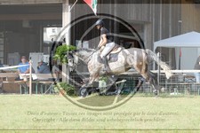 ref. photo 3679831
