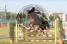 ref. photo 3679833