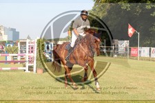 ref. photo 3679837
