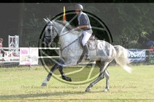 ref. photo 3679838