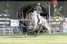 ref. photo 3679849