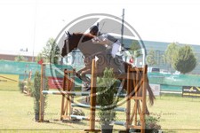 ref. photo 3679852