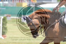 ref. photo 3679873