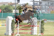 ref. photo 3679880