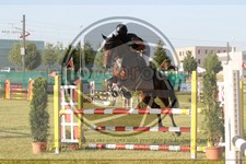 ref. photo 3679886