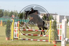 ref. photo 3679893