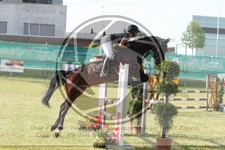 ref. photo 3679895