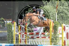 ref. photo 3679911