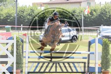 ref. photo 3679918