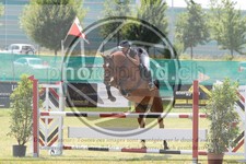 ref. photo 3679919