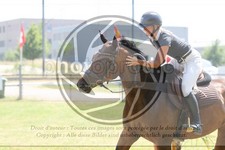 ref. photo 3679947