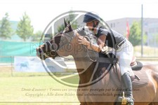 ref. photo 3679948