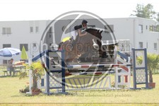 ref. photo 3679950