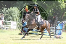ref. photo 3679966