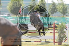 ref. photo 3679975