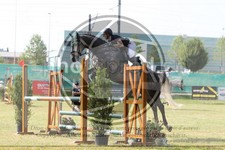 ref. photo 3680001