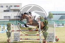 ref. photo 3680020