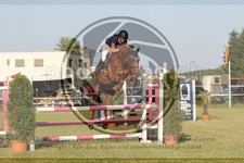 ref. photo 3680029
